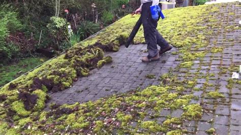 roof cleaning moss removal